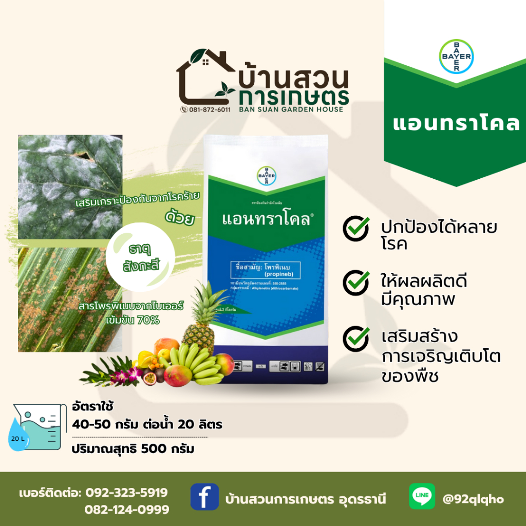 แอนทราโคล 500 กรัม ตรา Bayer ป้องกันโรคพืช