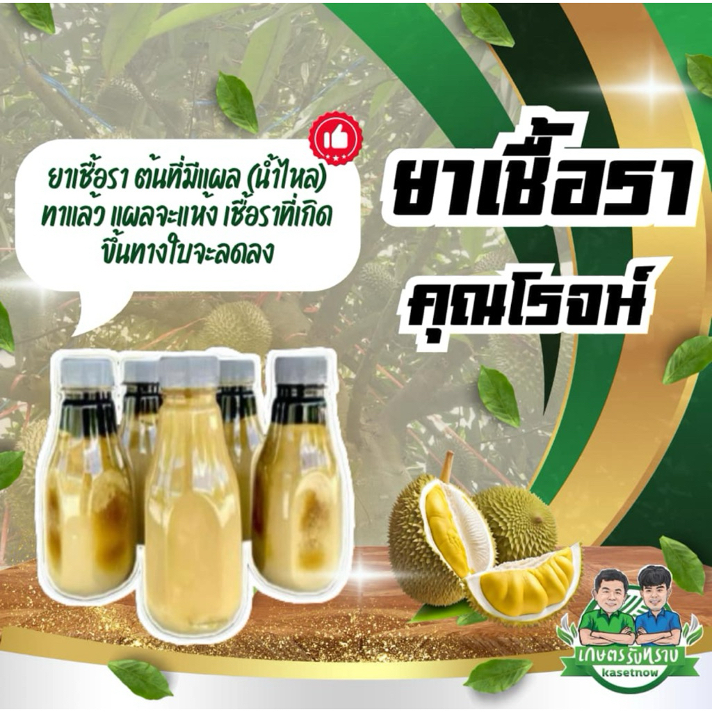 ยาเชื้อรา โดยคุณโรจน์ เกษตรรับทราบ แก้เชื้อรา