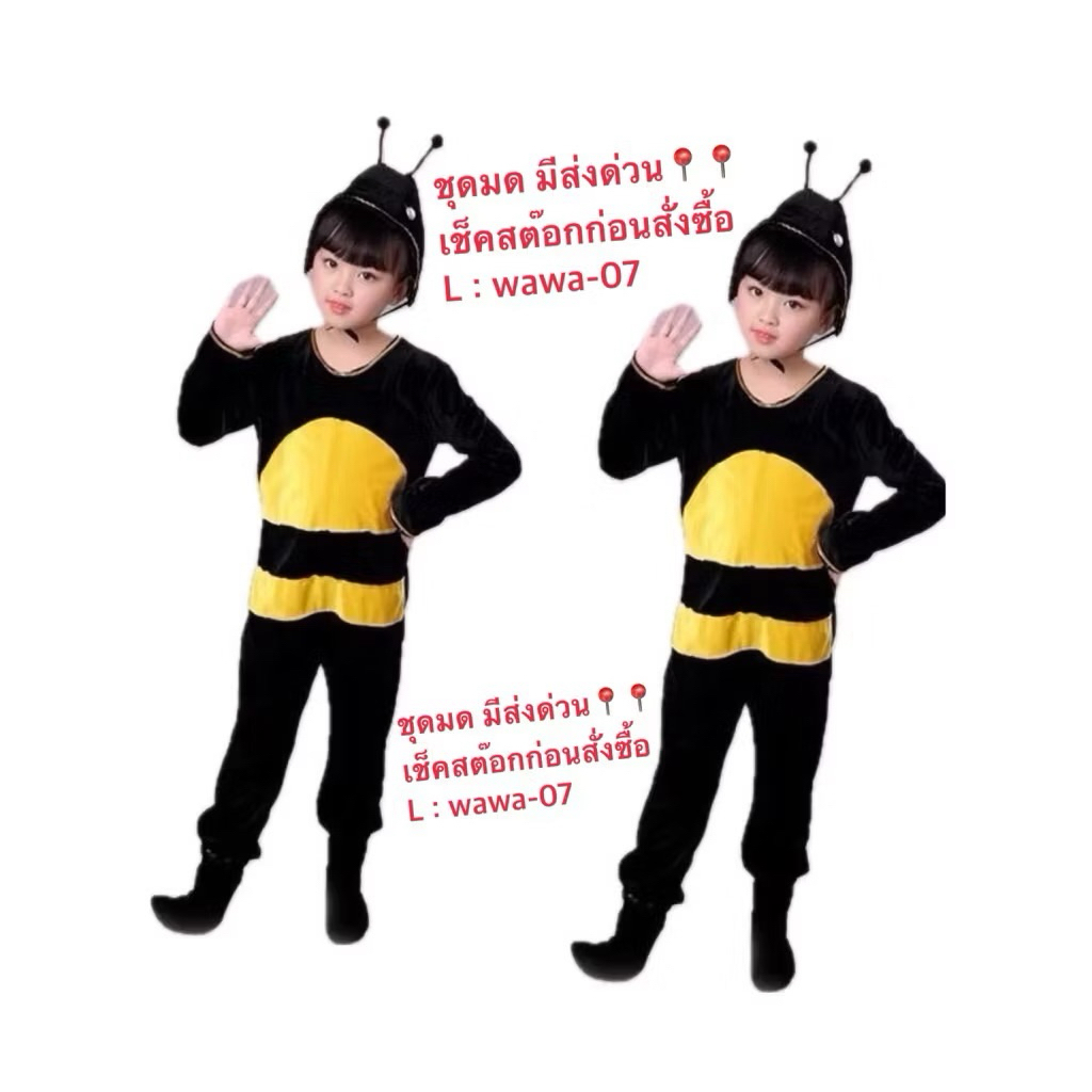 ชุดแฟนซีสัตว์ ชุดมด ชุดแมลง ชุดกบ