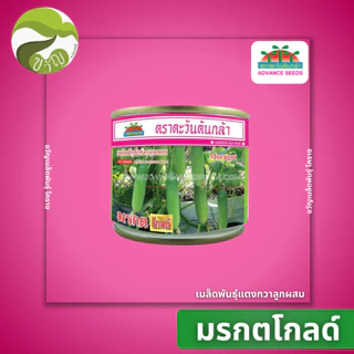 เมล็ดพันธุ์แตงกวา แตงกวา มรกตโกลด์ ตราตะวันต้นกล้า ลอตใหม่ล่าสุด