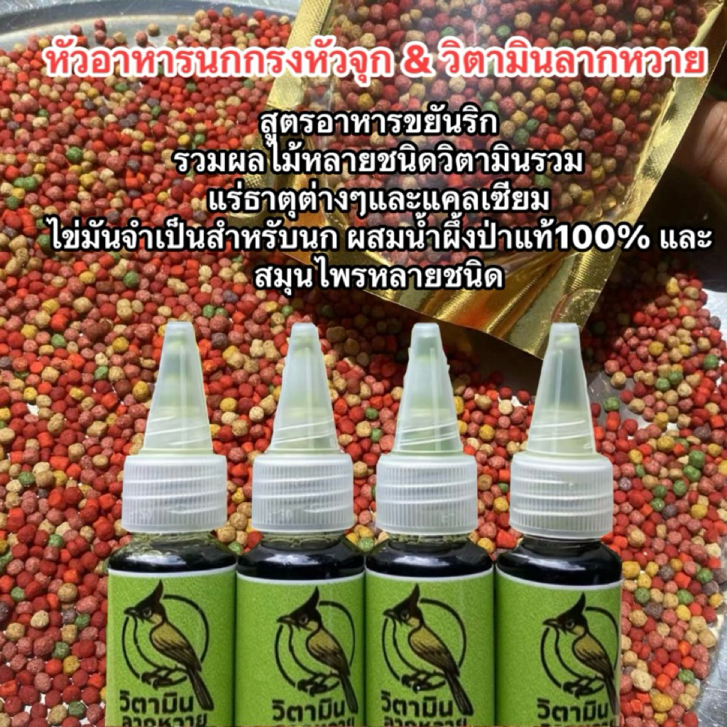 หัวอาหารนกกรงหัวจุกคู่วิตามินลากหวาย