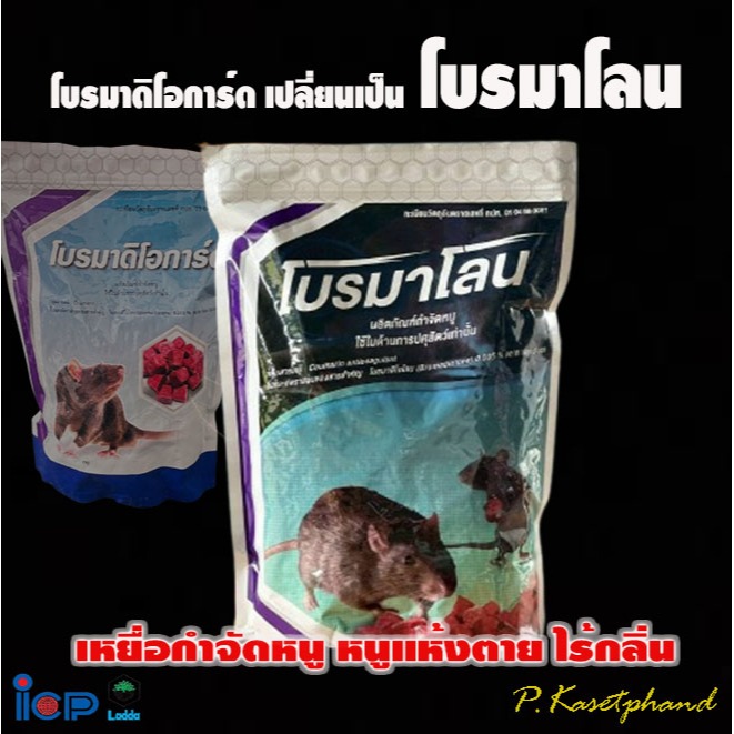 ICP โบรมาดิโอการ์ด➡️ทะเบียนใหม่ชื่อ โบรมาโลน 1 kg. เหยื่อกำจัดหนู ยาเบื่อหนู ยากำจัดหนู โบรมาดิโอโลน 0.005% W/W