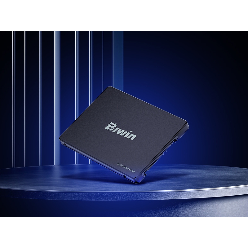 SSD SATA BIWIN 256GB M100 2.5