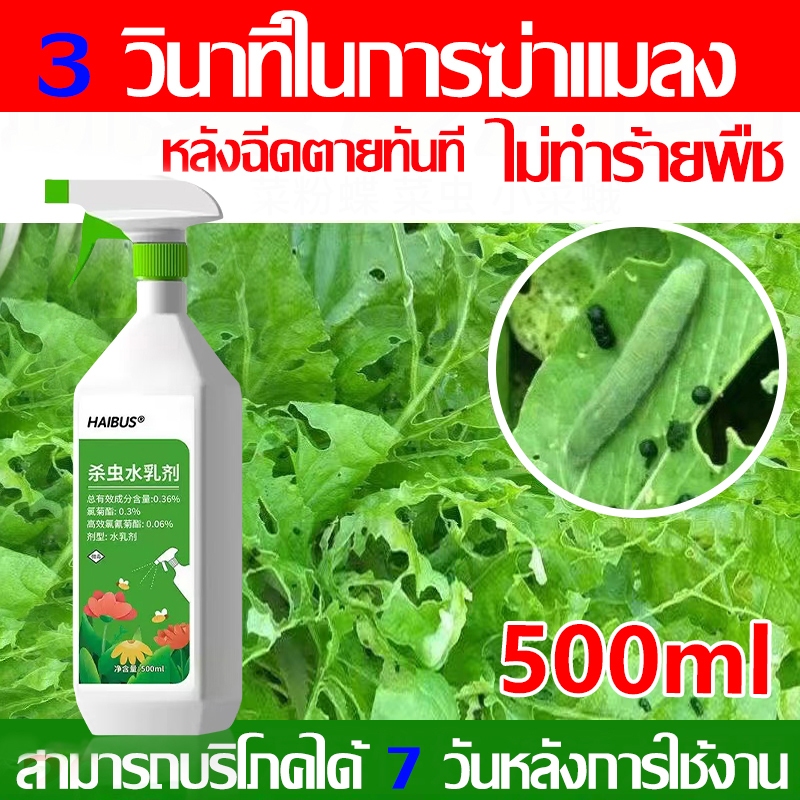 HAIBUS นำเข้าจากประเทศญี่ปุ่น ยากำจัดแมลงพืช 500ml ไม่ทำร้ายดอกไม้ สารกำจัดแมลง ยาฆ่าแมลง ยากำจัดหนอน ยาฆ่าแมลงกินใบ ยาฆ
