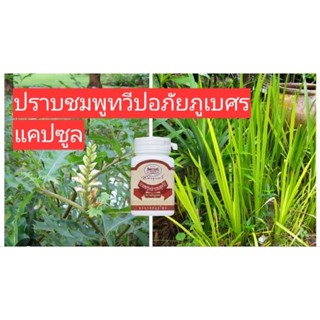 ปราบชมพูทวีปพร้อมทานอภัยภูเบศร