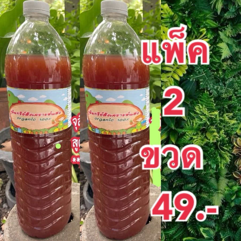 >>แพ็ค 2 ขวด<< จุลินทรีย์สังเคราะห์แสง สูตรเข้มข้น (PSB) ขวดขนาด 1.5 ลิตร