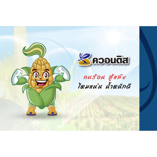 💥 ควอนติส *ขนาด 1 ลิตร ฮอร์โมนจากซินเจนทา เพิ่มปริมาณสารอาหารให้ข้าวโพด 🌽