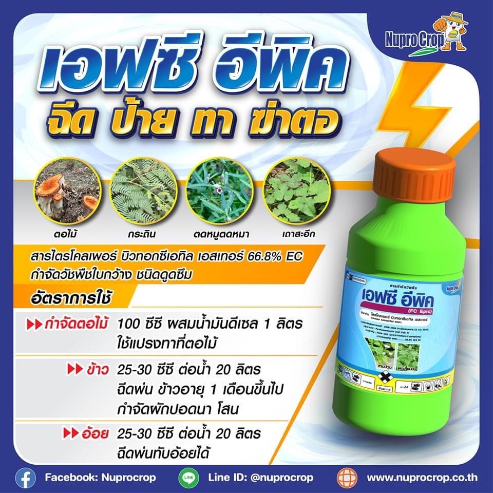 เอฟซี-อีพิค ( 500 ซีซี ) ไตรโคลเพอร์ ใช้กำจัดวัชพืชใบกว้าง โสน เทียนา กำจัดตอไม้ รากไม้ ป้ายตอไม้
