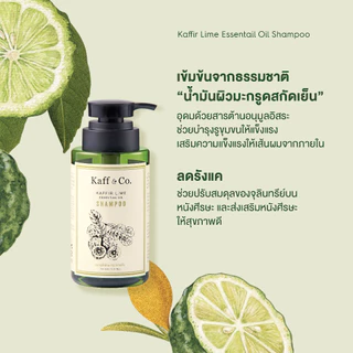 [2ชิ้นเก็บโค้ดลดเพิ่ม] Kaff & Co. แชมพูขจัดรังแค ลดคัน ลดผมร่วง หนังศีรษะ/แห้ง แพ้ง่าย แชมพูน้ำมันมะกรูดสกัดเย็น 300 ml