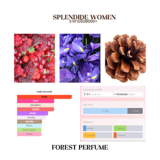 น้ำหอม FOREST-Inspired by Splendide women - ขนาด 50ML