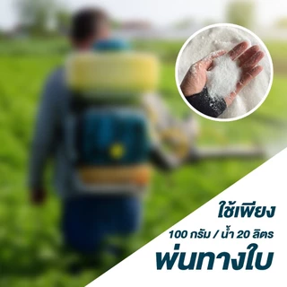 ปุ๋ยเกล็ด 0-0-61 ไฮฟ่า จากอิสราเอล ขนาด 25 กก โพแทสเซียมคลอไรด์ เร่งแป้ง เร่งลงหัว เพิ่่มน้ำหนัก