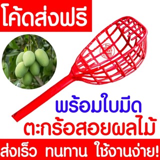 *ค่าส่งถูก* ตะกร้อสอยผลไม้ พร้อมใบมีด ตะกร้อสอยมะม่วง ตะกร้อ ตะกร้อสอยมะนาว ตะกร้อเก็บผลไม้ เก็บผลไม้ สอยผลไม้