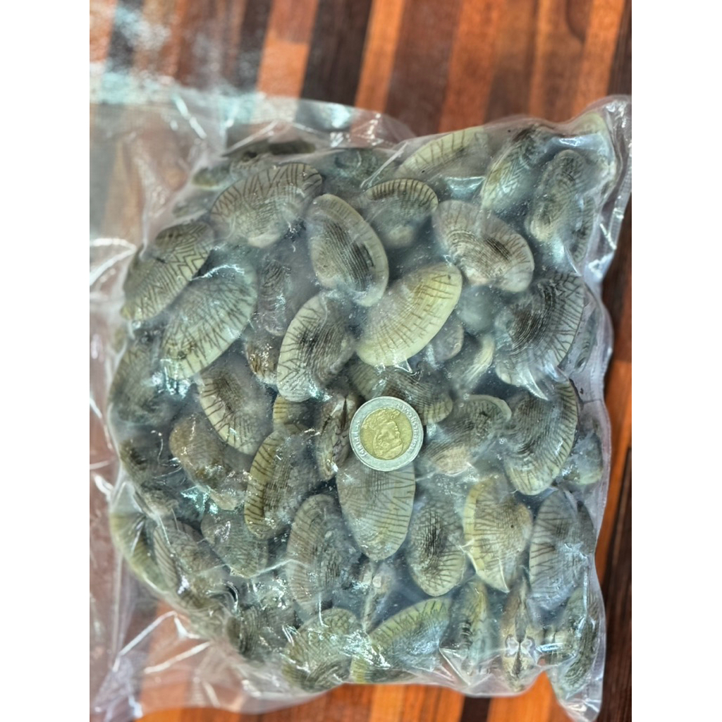 หอยลาย สดใหม่ ฟิสแข็ง ขนาด 1000 กรัม แช่น้ำผัดได้เลย สดเหมือนเดิม