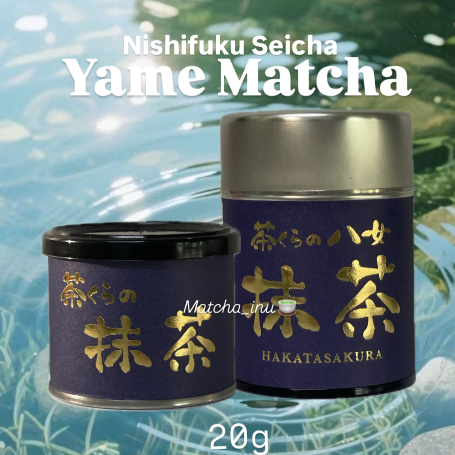 [พร้อมส่ง] Nishifuku Yame Matcha 20g น้องไม้กวาดทอง มัทฉะโทนถั่วคั่ว เมืองยาเมะ ญี่ปุ่น ถั่วอูมามิ