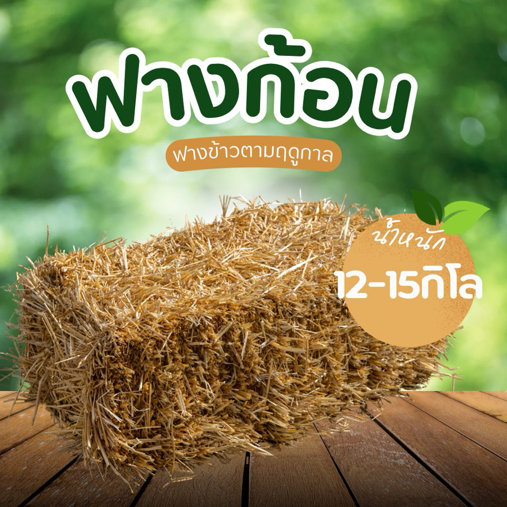 ฟางข้าวอัดก้อนตามฤดูกาลเดือนมิถุายนแห้งสะอาดไม่ขึ้นรา