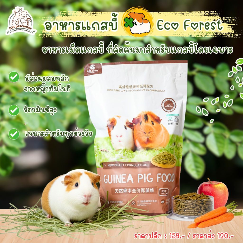 อาหารแกสบี้ Eco forest อาหารสัตว์เล็ก วิตามินซีสูง สำหรับแกสบี้