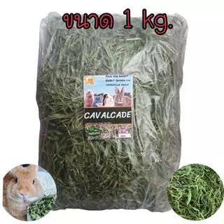 หญ้าถั่วคาวาเคด 1 kg โปรตีนพิเศษของโปรดกระต่าย หนูแกสบี้ สัตว์ฟันแทะ คะ