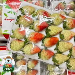 🍓 สตอเบอรี่สด 🍓 แพ็ค 20-24 ลูก โปรดอ่านรายละเอียดก่อนสั่งซื้อ