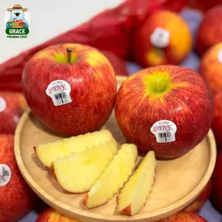 แอปเปิ้ลเอ็นวี่ Envy Apple อเมริกา ไซส์ L