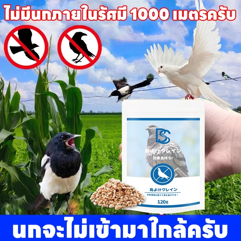 🦜ไม่มีนกภายในรัศมี 1000 เมตรครับ🦜SKy ยากำจัดนกพิราบ ไล่นก ก้อนไล่นกพิราบ ก้อนไล่นกพิราป ไล่นกพิราบถาวร ก้อนไฟป่าไล่นก