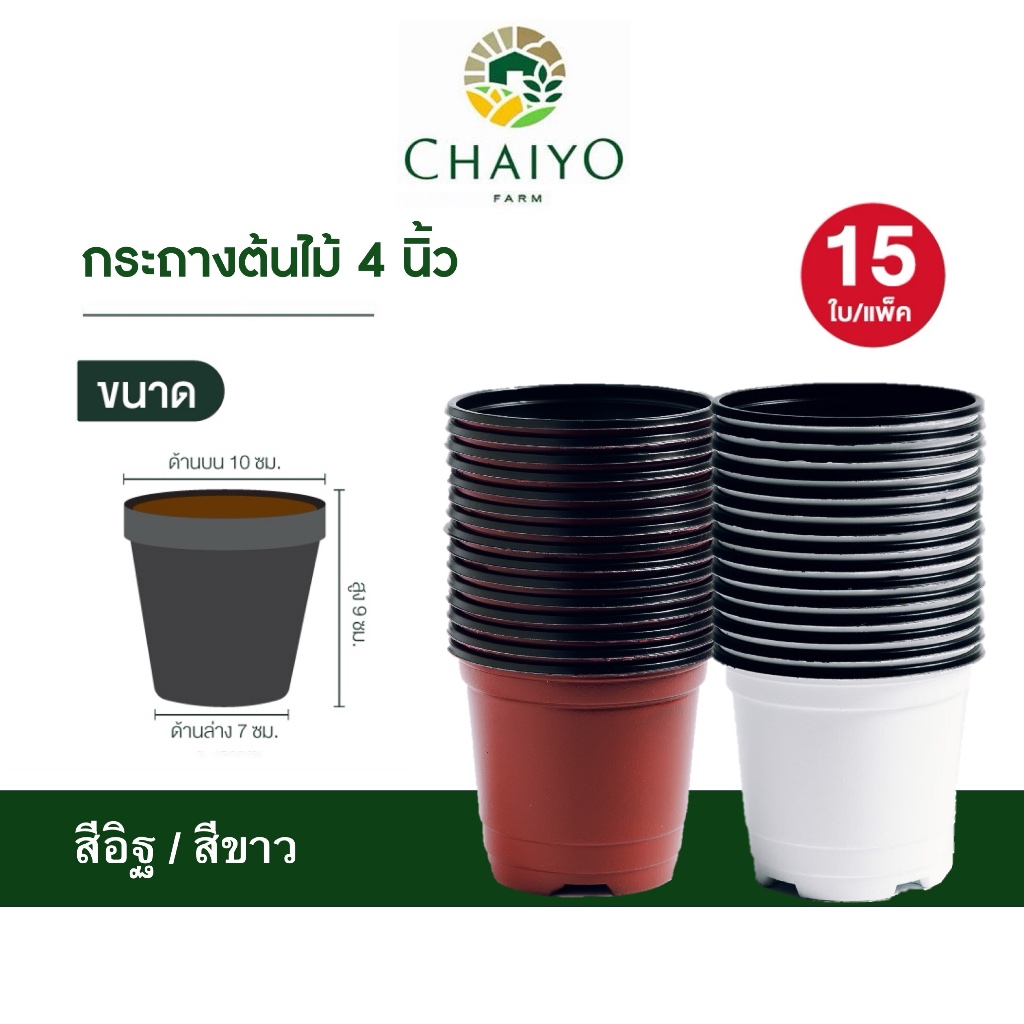 กระถางต้นไม้ 4 นิ้ว 15 ใบ  Pot 100mm 15 pcs