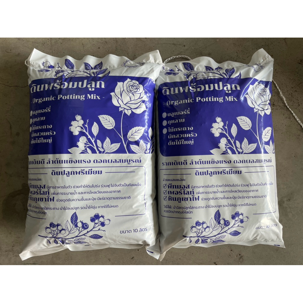 ดินสูตรสำหรับปลูกบลูเบอรี่ blueberry