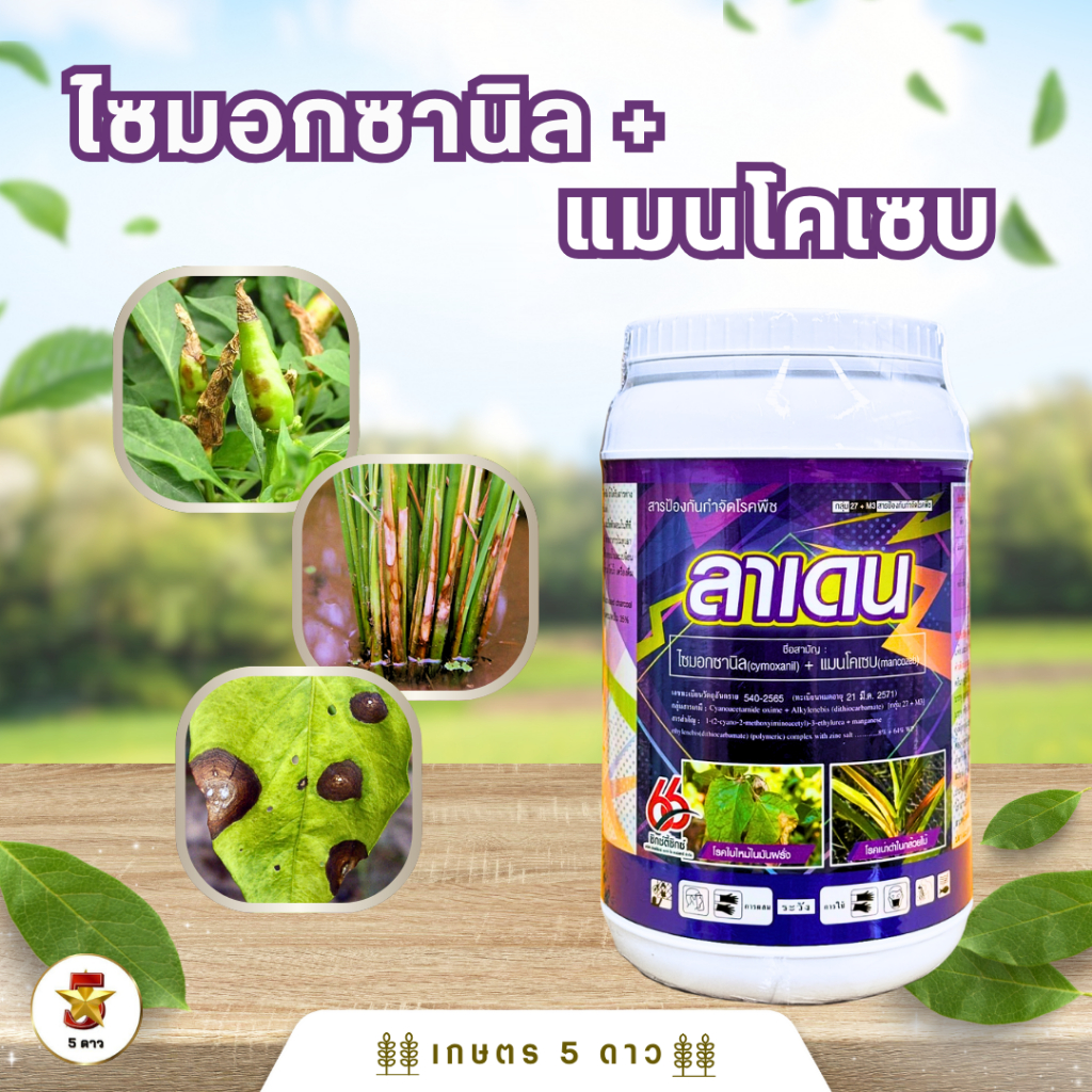ลาเดน(ไซมอกซานิล 8%+แมนโคเซบ 64%)2พลังบวกพิชิตเชื้อรา