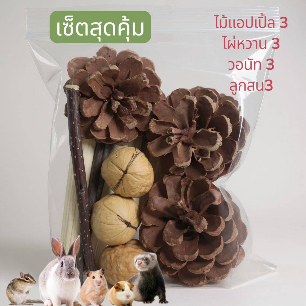 รวมของเเทะ สำหรับสัตว์เลี้ยง วอนัท สน ไม้เเอเปิ้ล ไผ่หวาน อย่างละ 3 ชิ้น ราคาถูก Shopee Lazada