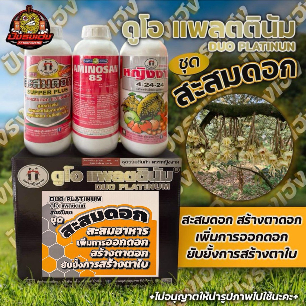 ชุดสะสมดอก ตราหญิงงาม 1 ชุดมี3ขวดสะสมอาหาร สร้างตาดอก เพิ่มการออกดอก ยับยั้งการสร้างตาใบ