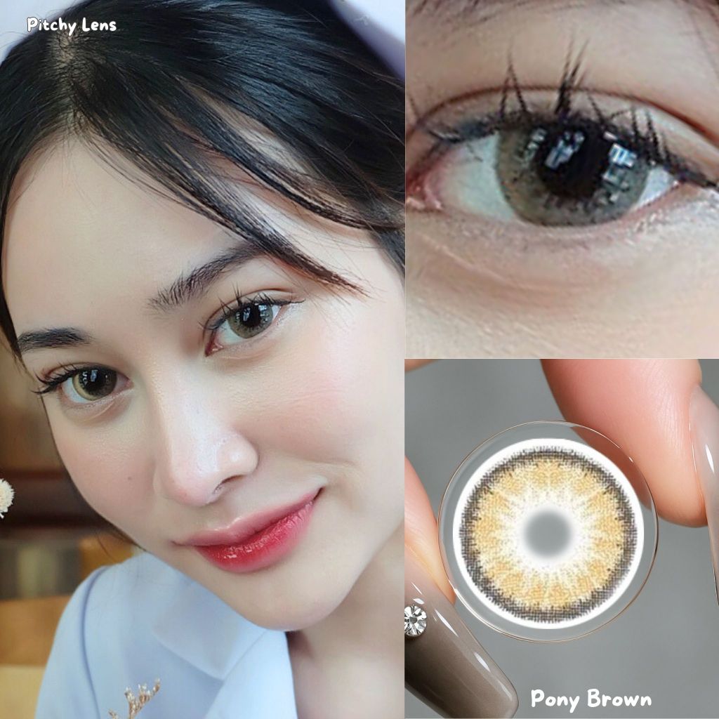 Pitchy Lens คอนแทคเลนส์  Pony