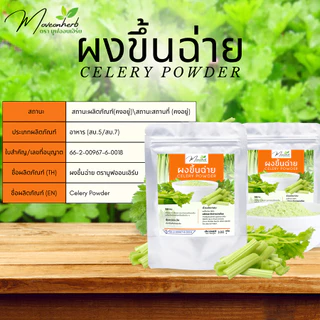 ผงขึ้นฉ่าย มีอย. เซเลอรี่ Celery powder ขนาด 100 กรัม