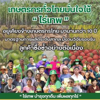ชุดทดลองไร่เทพโกลด์ 2 ซอง เสริมดอก ออกผลไว ทนฝน-แล้ง เพิ่มผลผลิต+โล่เขียว มัน เขียว ถึก ทน 250 ml.