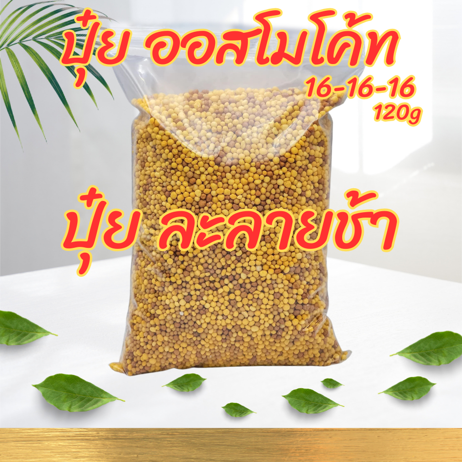 ปุ๋ยออสโมโค้ท 16-16-16 ปุ๋ยละลายช้า ขนาด 120 กรัม
