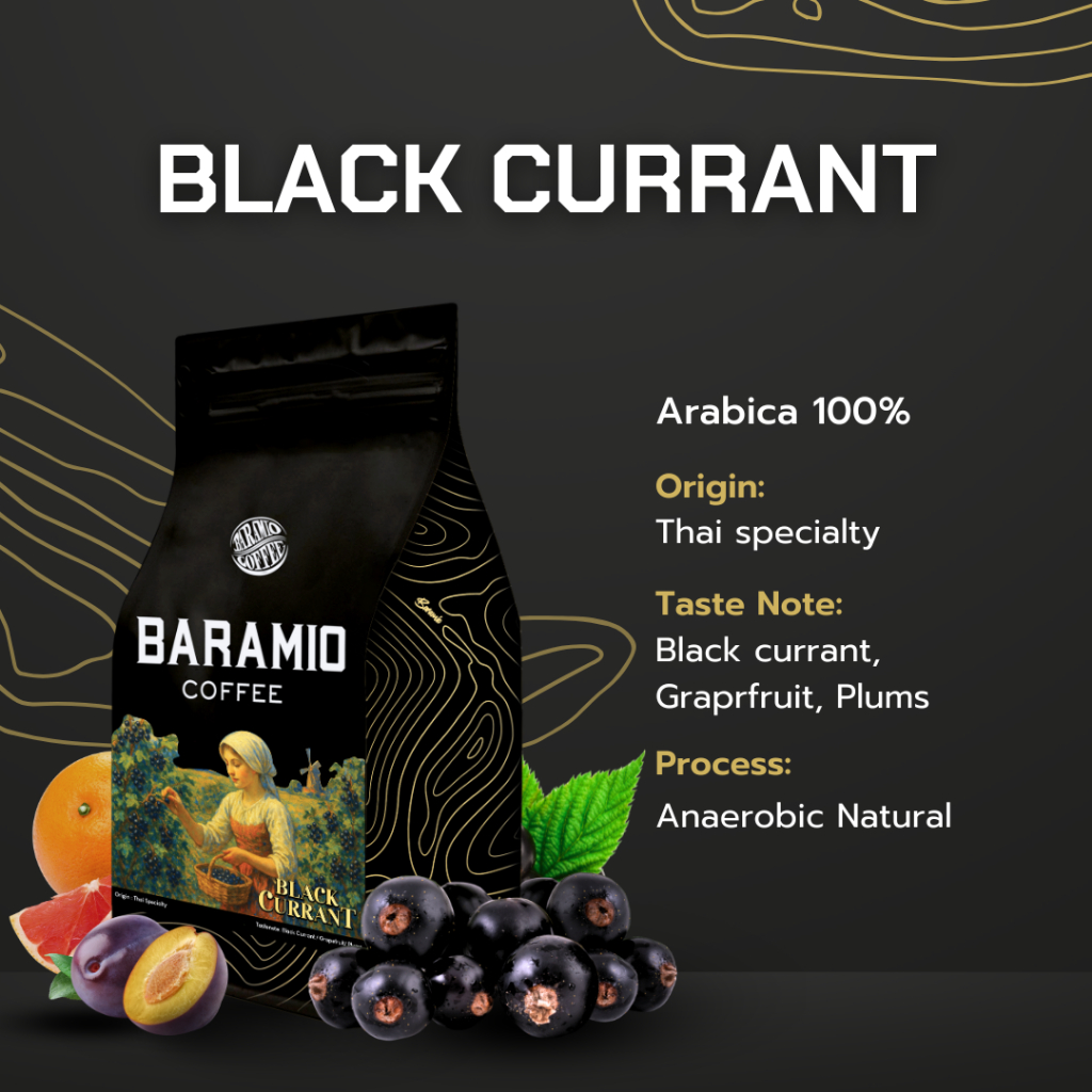 Baramio เมล็ดกาแฟ Black Currant 200 g. (Arabica100%) Taste Note : Black currant, Graprfruit, Plums