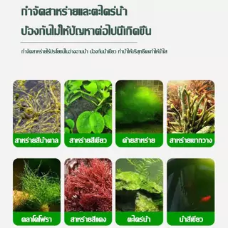 【ซื้อ1แถม1】จุลินทรีย์บ่อปลาเข้มข้น 350 มล. กำจัดสาหร่ายสีเขียวจากตู้ปลาและบ่อปลาเพื่อคุณภาพน้ำที่บริสุทธิ์กำจัดกลิ่น