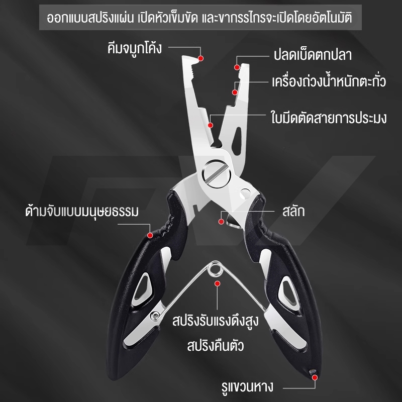 รูปภาพ 6