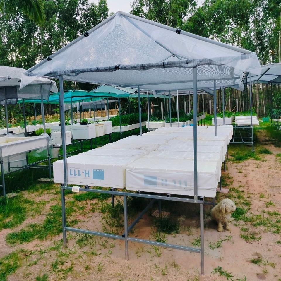 โรงเรือนปลูกผักไฮโดรไฮโดรโปนิกส์ ทรงจั่ว สำหรับวางกล่องปลา 2 แถว วางได้ 20 กล่อง - เกษตรกรรมยั่งยืน