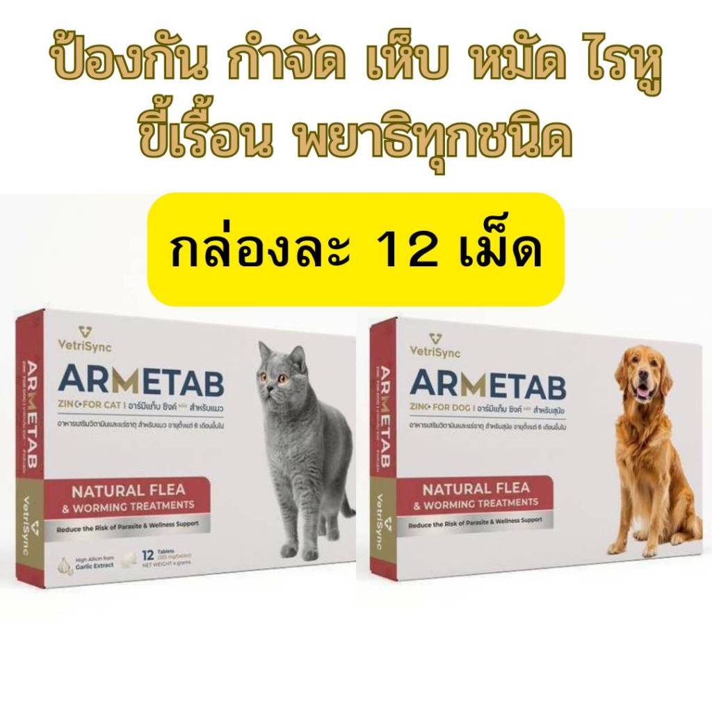 [ซื้อ 1 แถม 1] ARMETAB ZINC+ ผลิตภัณฑ์เสริมอาหาร ดูแลผิวหนัง และทางเดินอาหารของสุนัข แมว กล่องละ 12 เม็ด