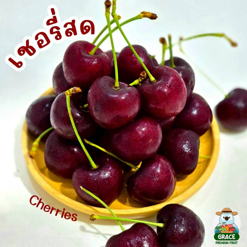 ส่งรถเย็น 0-8 องศา Fresh Cherry 🍒 เชอรี่แทสมาเนีย จัมโบ้ สด ก้านเขียว หวานกรอบ