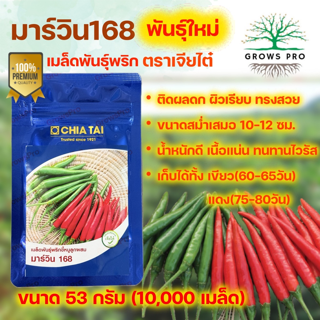 GrowsPro เมล็ดพริกพันธุ์ผสม เจียไต๋ มาร์วิน168 ขนาด 53กรัม (10,000 เมล็ด)  ขนาด 10-12 ซม. ทนฝน
