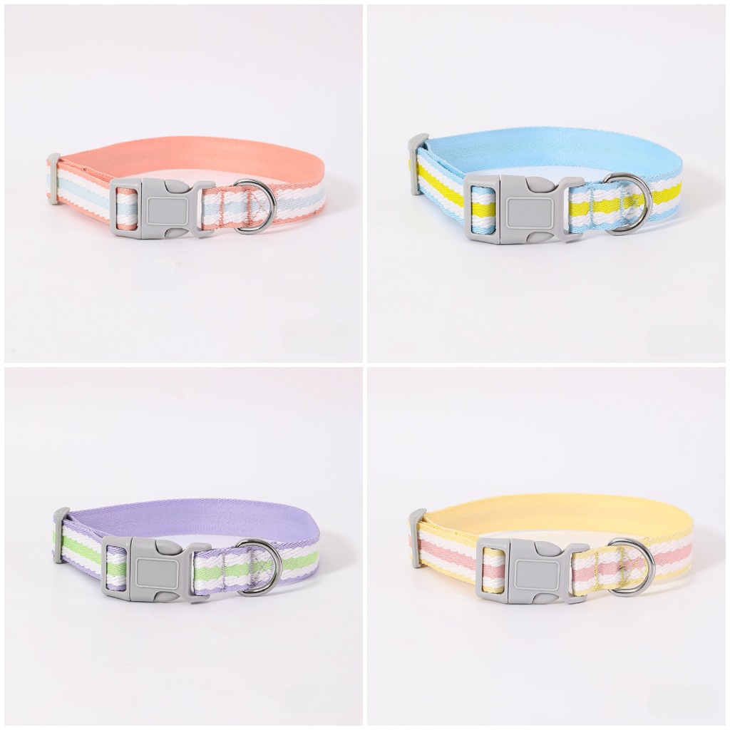PP-1277 ปลอกคอสุนัขและแมว สีพาสเทลสุดน่ารัก 💖🐶🐱