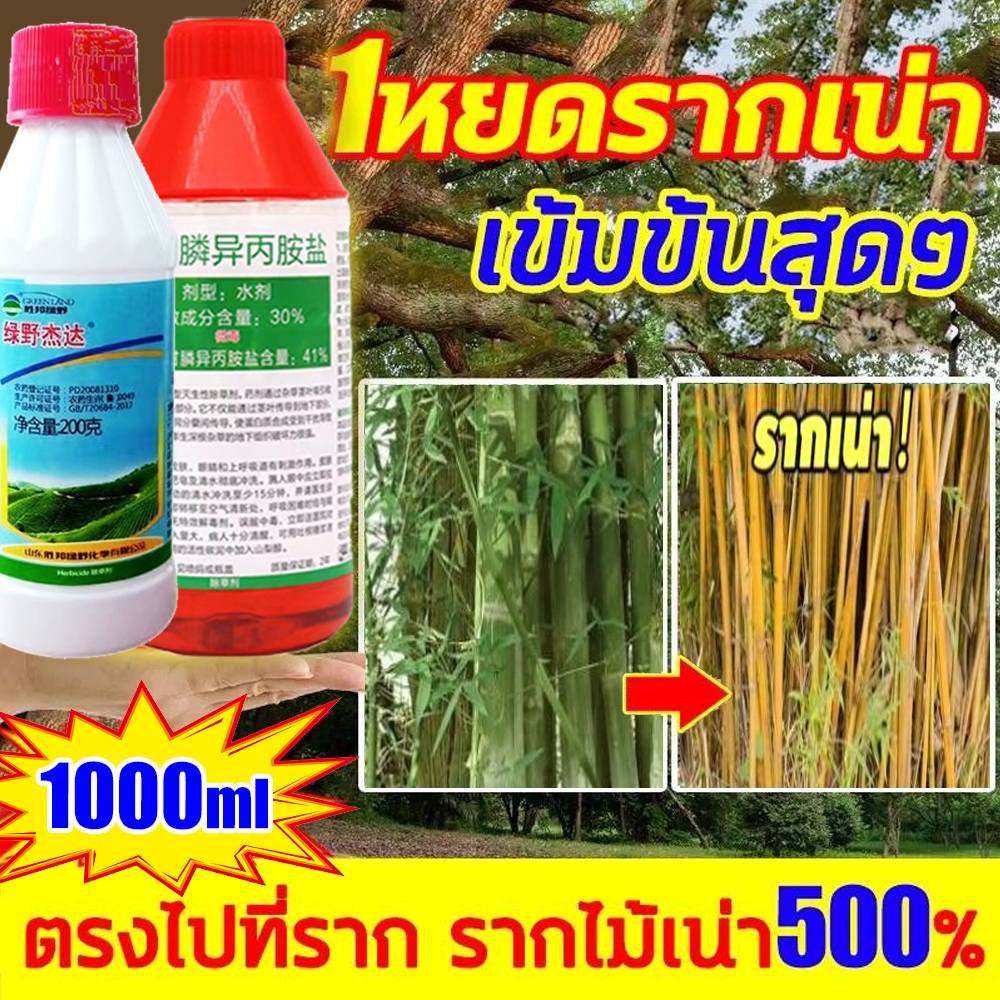ยาฆ่ากอไผ่ เข้มข้นสุด1000ml ยาฆ่าไผ่ ตรงไปที่ราก สารกําจัดกอไผ่ รากเน่ารากไม่ขึ้นอีก ยาฆ่าไม้ไผ่ ไม่เป็นอันตรายต่อดิน