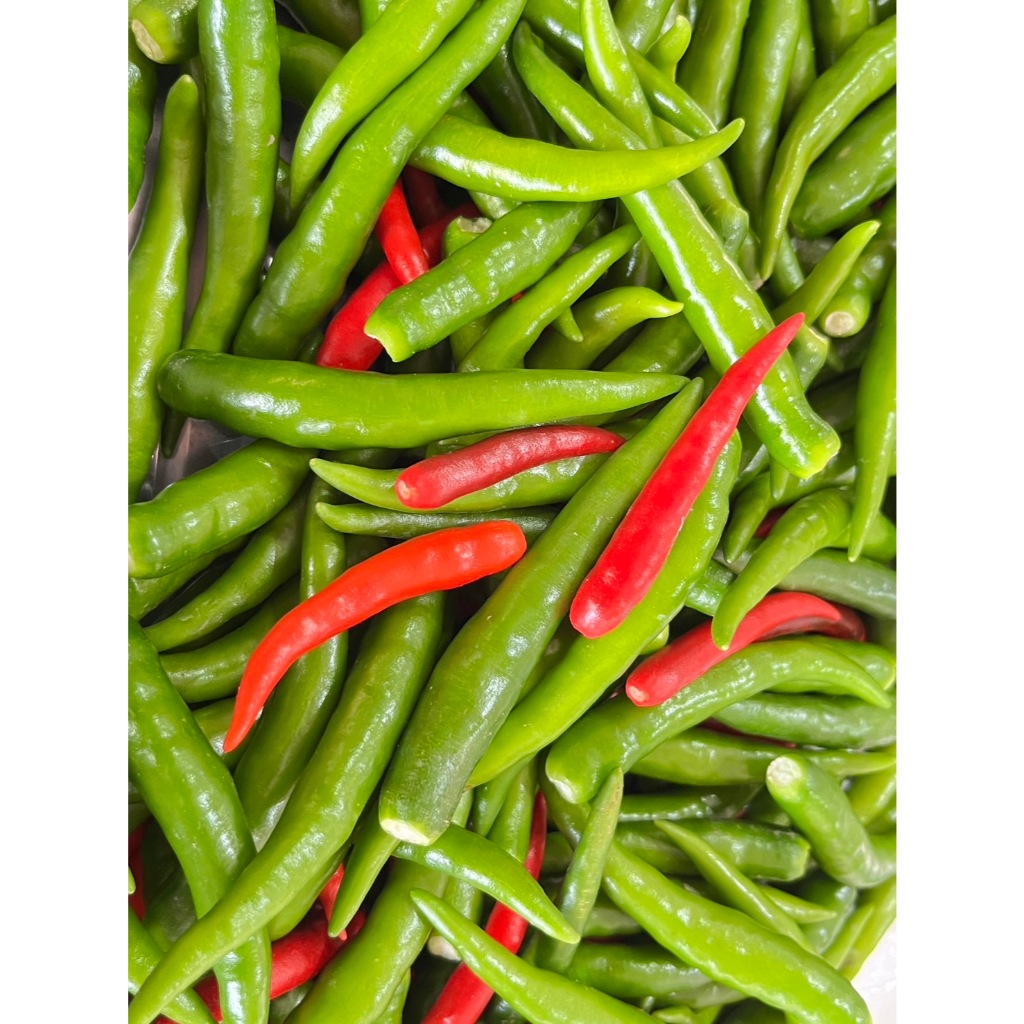 พริกจินดา แดง/เขียว คละกัน 500 g. / 1 Kg. สดๆ จากสวน เก็บใหม่ทุกเช้า รสชาติเผ็ดร้อน มีกลิ่นหอม (มีราคาส่ง 5 kg./ 10 kg)