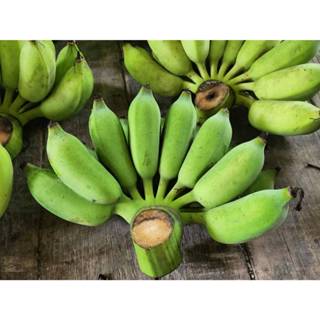 กล้วยน้ำว้า ออแกนิค ลูกใหญ่ แก่จัด หวานหอม 1 หวี / 5 หวี ตัด…
