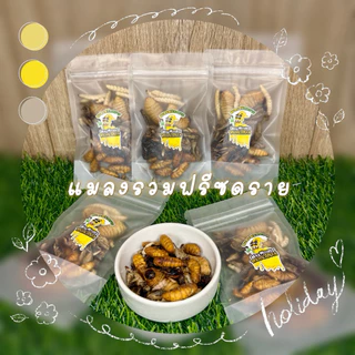 🦗🐛แมลงรวมฟรีซดราย หนอนไม้ไผ่ หนอนไหม สะดิ้ง จิ้งหรีด ด้วงสาคู น้ำหนัก 10g.