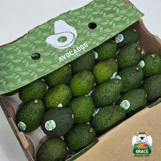 แฮสอะโวคาโด 🥑 เนื้อครีมมี่ นำเข้าจากนิวซีแลนด์