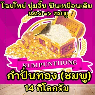 [ช่วงแนะนำถูกที่สุด] PINK ข้าวหอมมะลิ 90 เทียนหอม เกรดส่งออก ข้าวสาร ตรา กำปั่นทอง ขนาด 14 กิโลกรัม