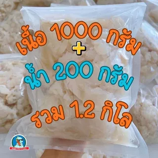 [สด..เนื้อเด้ง] แมงกะพรุนดองจืด ขนาด 1 กิโลกรัม แมงกะพรุนล้างจืด แมงกะพรุน