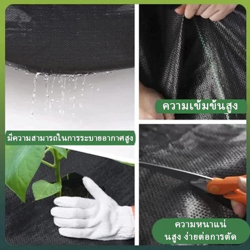 พลาสติกคลุมวัชพืช ผ้าคลุมหญ้า ผ่านการทดลองใช้งานจริง ฆ่าหญ้า1×5 1×20 2×50 1×100 2×100 3×100 กำจัดหญ้า พลาสติกคลุมดิน ราคา ถูกที่สุด ดีลบีเคเค แกลเลอรีภาพที่ 8
