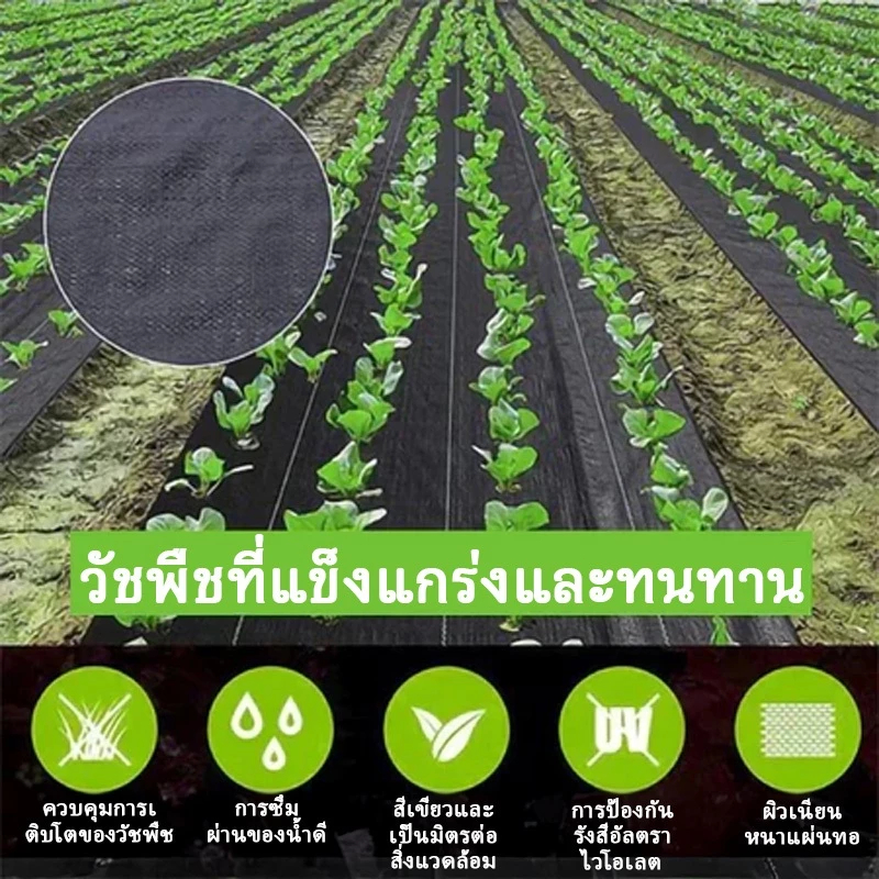 พลาสติกคลุมวัชพืช ผ้าคลุมหญ้า ผ่านการทดลองใช้งานจริง ฆ่าหญ้า1×5 1×20 2×50 1×100 2×100 3×100 กำจัดหญ้า พลาสติกคลุมดิน ราคา ถูกที่สุด ดีลบีเคเค แกลเลอรีภาพที่ 6